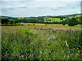 View from Totties Lane, Wooldale