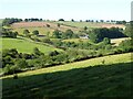 Farmland at Capel Cynon