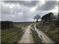 NZ3540 : Farm track near Thornley by David Robinson
