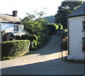 SO3606 : Narrow lane in Bettws Newydd, Monmouthshire by Jaggery