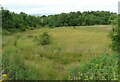 Grassland beside Robroyston Road