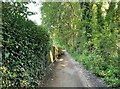 Footpath to Hawley Common