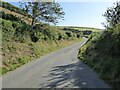 Country road east of Capel Cynon