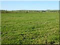 Farmland near Post-bach