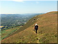 Mynydd Allt-y-grug