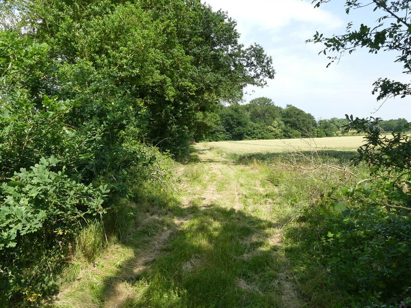 Track beside Field of Wheat © David Pashley :: Geograph Britain and Ireland