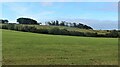 Sloping pasture near Auchenskeith