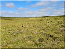 NC9742 : Wide Grassy Area SW of Loch Eun by Thomas Byrd