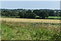 Farmland south of Ford Place