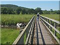 Footbridge over the Mein Water