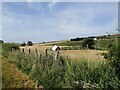 Farmland between Uplawmoor and Neilston