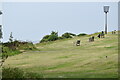 Beacon on Tankerton Slopes