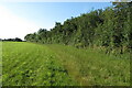 Footpath towards Gravel