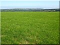 Farmland east of Plwmp