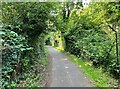 The Hatches - footpath from Frimley Green