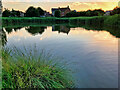 Portishead Ecology Park