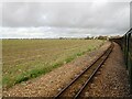 TR0826 : View from a Romney-Dungeness train - Flat landscape near St. Mary's Bay by Nigel Thompson