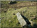 Old Boundary Marker on Trehudreth Downs, Blisland parish