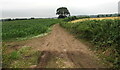 Track past fields, Kemeys Commander, Monmouthshire