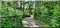 Path through the trees at Monkey World