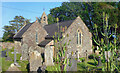 Teasels in the Churchyard