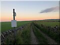 Limestone Way at Dusk