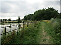 Footpath across the dam, Cuckney