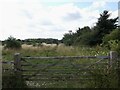 Fields south of Burnby Lane