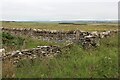 Drystane dyke junction at West Calder, Caithness