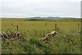 Farmland at Mid Calder, Caithness