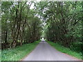 NO6467 : Minor road through Inverury Wood by JThomas