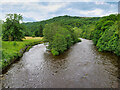 River Swale upstream from Lownethwaite Bridge