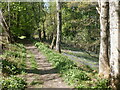 Path, Yellow Brae