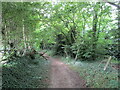 Footpath to Rotherham Road