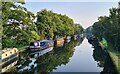 TQ0582 : Early morning on the Grand Union Canal at Cowley by Rod Allday