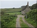 Thatched cottage at Prussia Cove