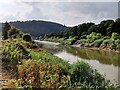 SO5300 : River Wye at Tintern by Mat Fascione