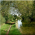 Canal east of St Thomas Bridge near Baswich, Stafford