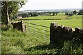 Field gateway on south side of Beacon Edge south of Roundthorn