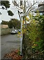 Direction Sign ? Signpost on Bull Street in Creech St Michael parish