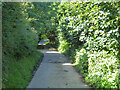 Tanyard Lane, Staplefield