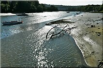 SN1746 : Cardigan: The River Teifi and mud bank by Michael Garlick