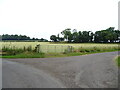 Field entrance and road to Scotscraig Mains