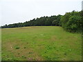 Grazing and woodland, Chesterhill