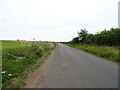 Minor road towards Leuchars