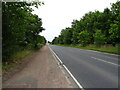 A91 towards Guardbridge