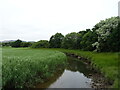 The Motray Water, Guardbridge