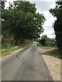 Road towards Tuddenham