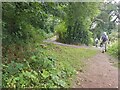 Walkers reaching road at Dunclent House