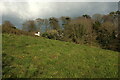 SX9167 : Hillside by John Musgrave Heritage Trail by Derek Harper